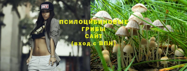 дурь Семикаракорск
