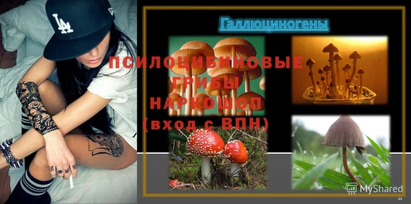мдпв Семёнов