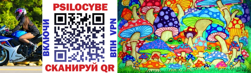 Галлюциногенные грибы Psilocybine cubensis  Зубцов 