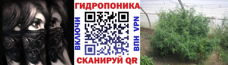 гидра как войти  Зубцов  Марихуана OG Kush 